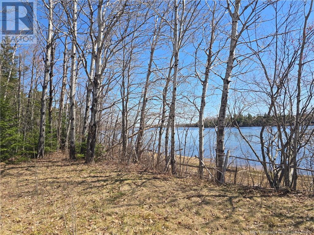 9 Acres North Black River Road Property Photo 4