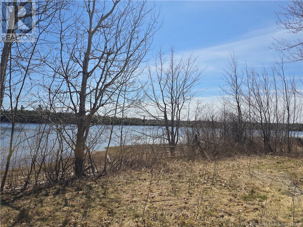 9 Acres North Black River Road Property Photo 5