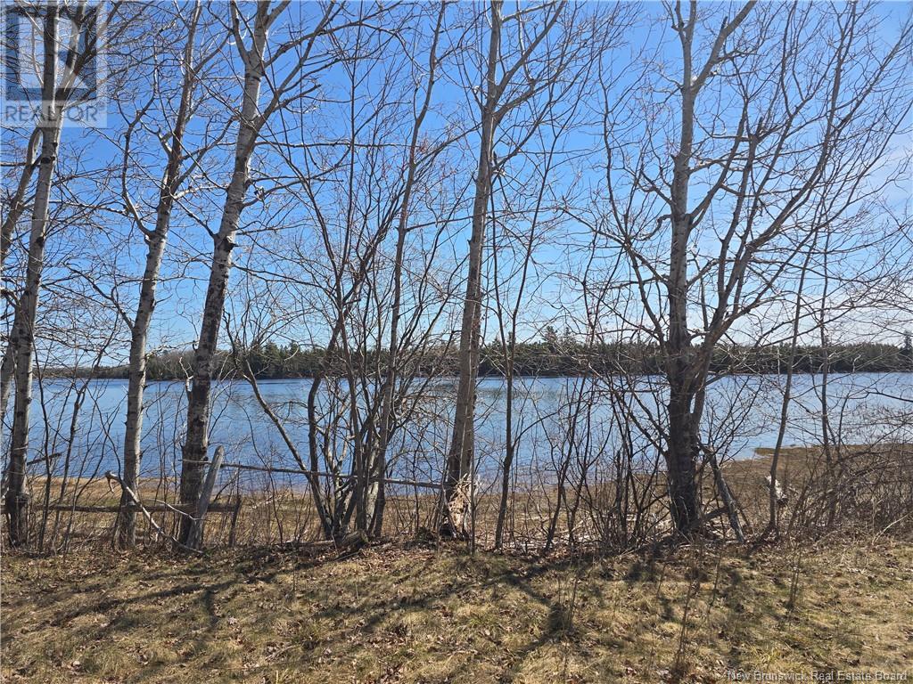 9 Acres North Black River Road Property Photo 6