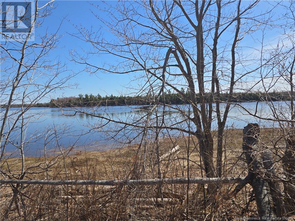 9 Acres North Black River Road Property Photo 7
