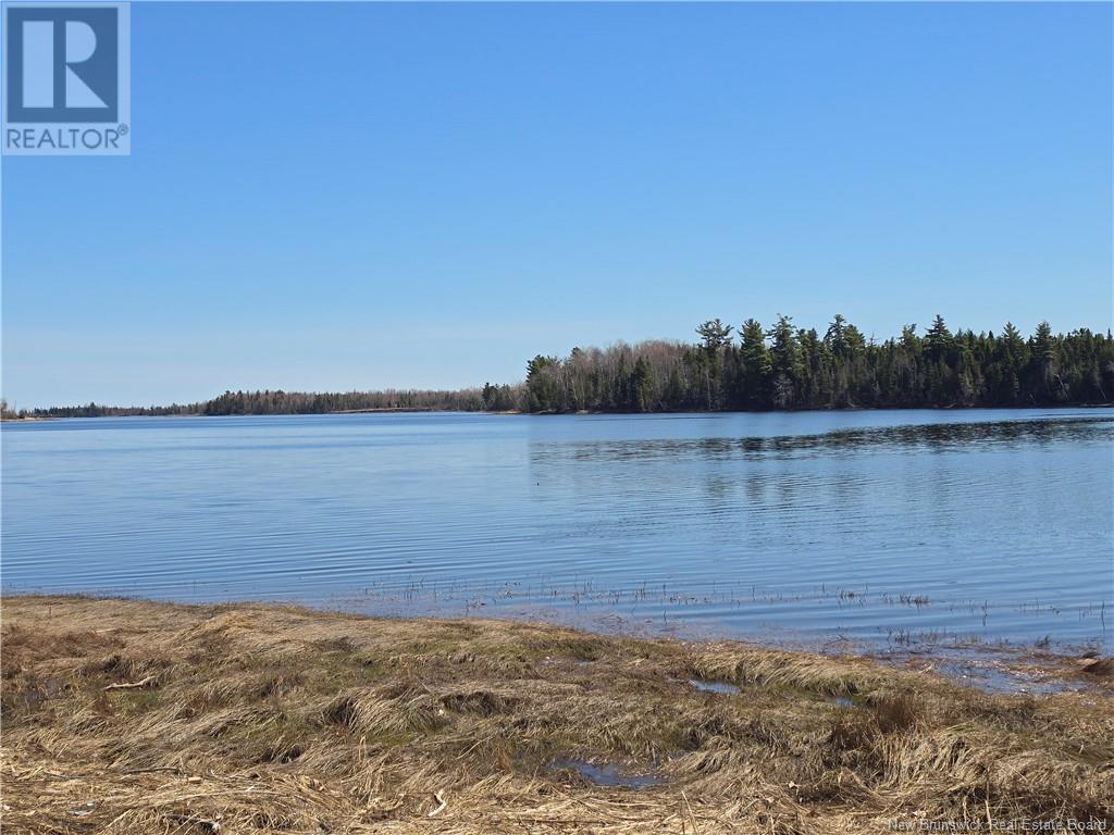 9 Acres North Black River Road Property Photo 8
