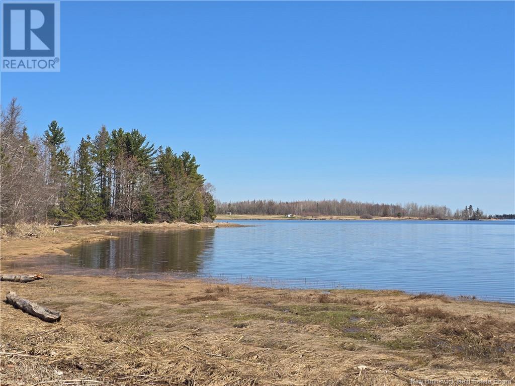 9 Acres North Black River Road Property Photo 9