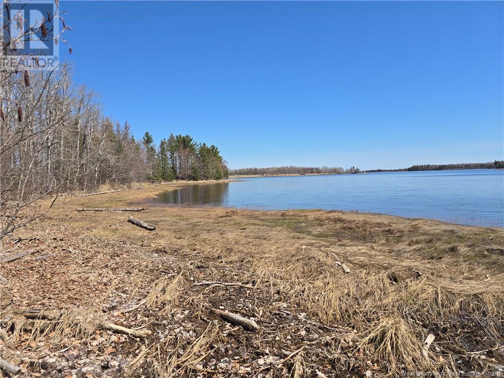 9 Acres North Black River Road Property Photo 10