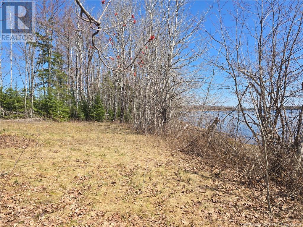 9 Acres North Black River Road Property Photo 11