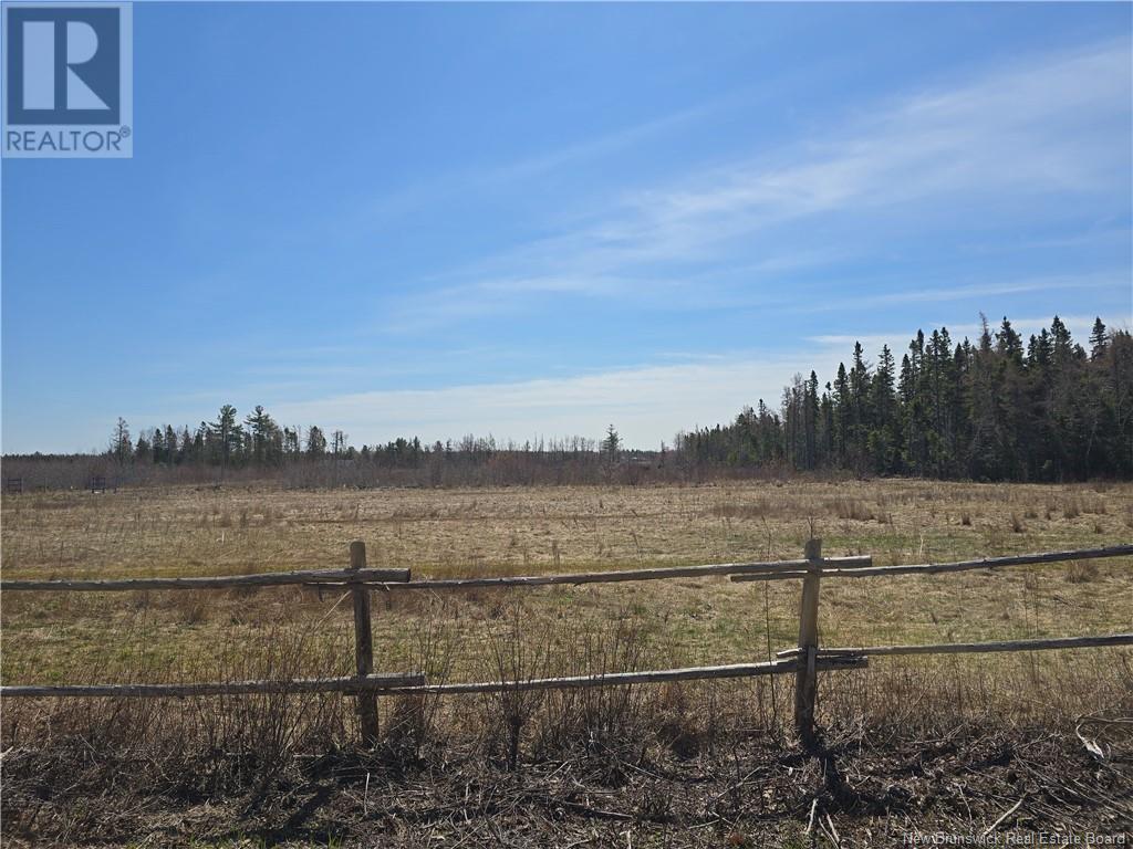 9 Acres North Black River Road Property Photo 12