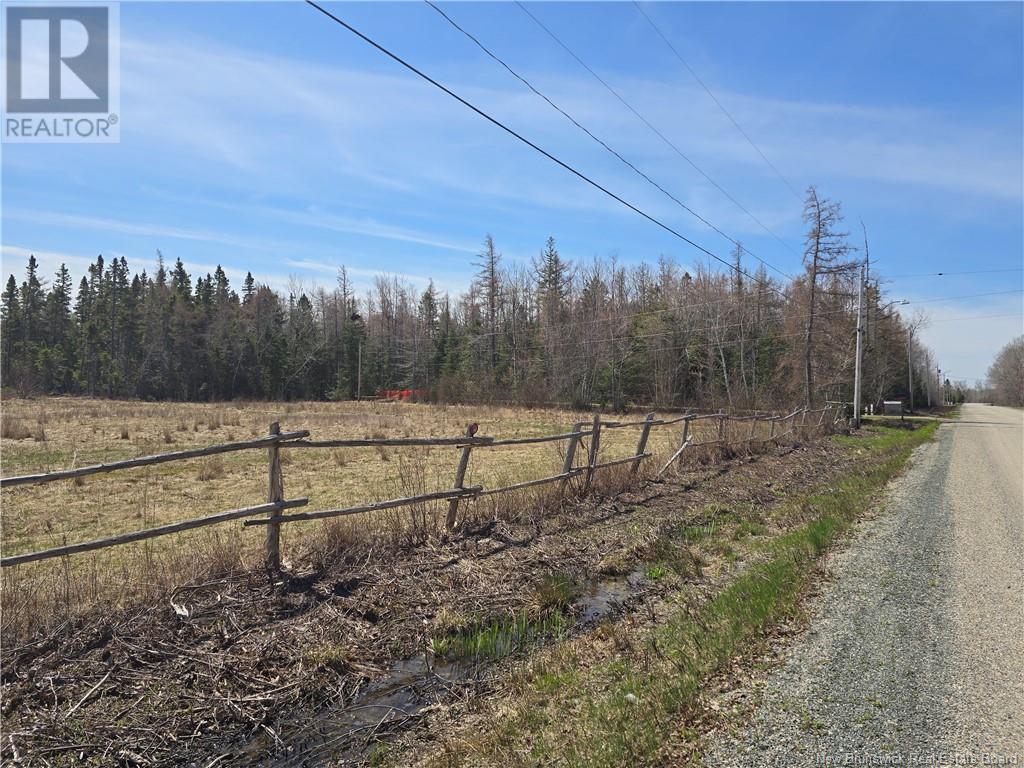 9 Acres North Black River Road Property Photo 13
