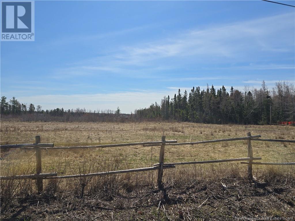 9 Acres North Black River Road Property Photo 14