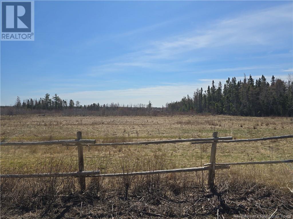 9 Acres North Black River Road Property Photo 15