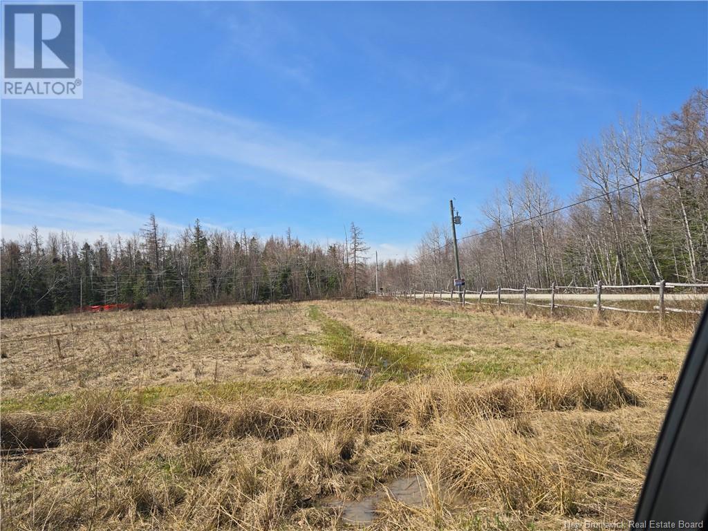 9 Acres North Black River Road Property Photo 16