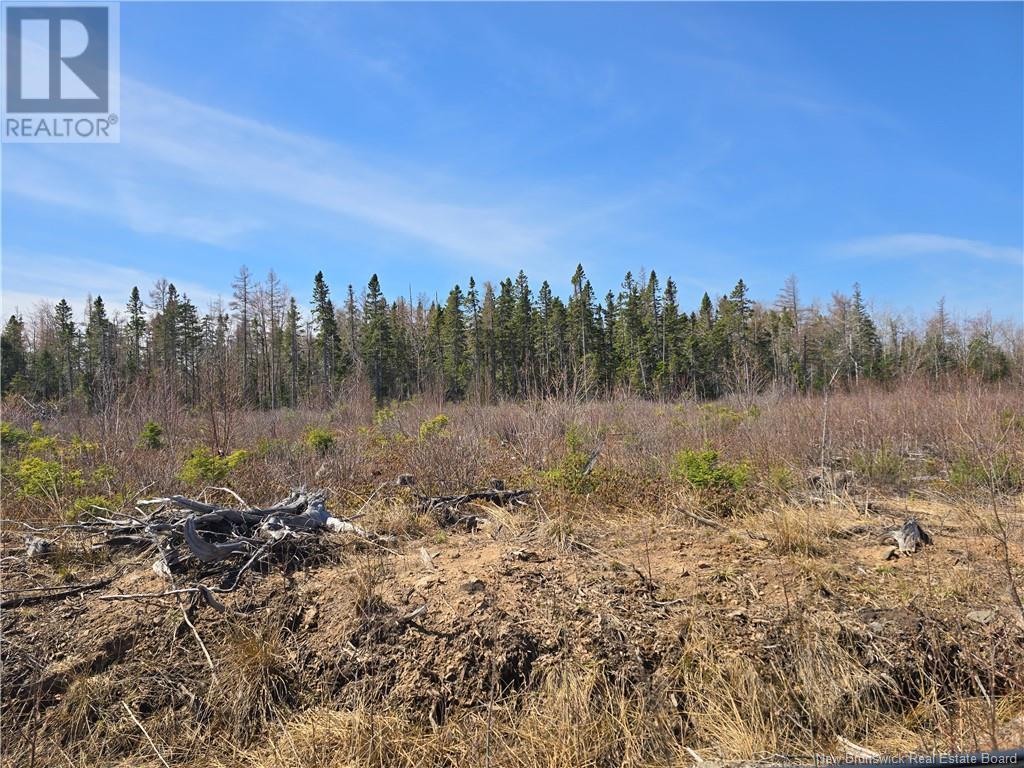 9 Acres North Black River Road Property Photo 17