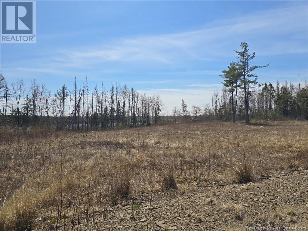 9 Acres North Black River Road Property Photo 19