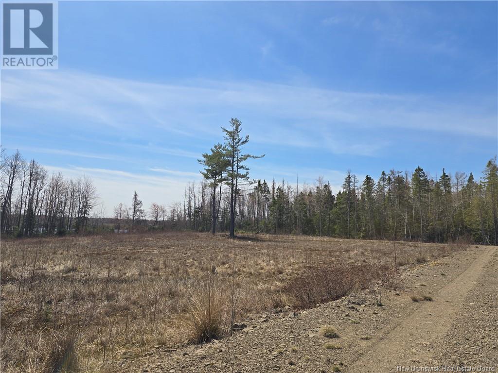 9 Acres North Black River Road Property Photo 20