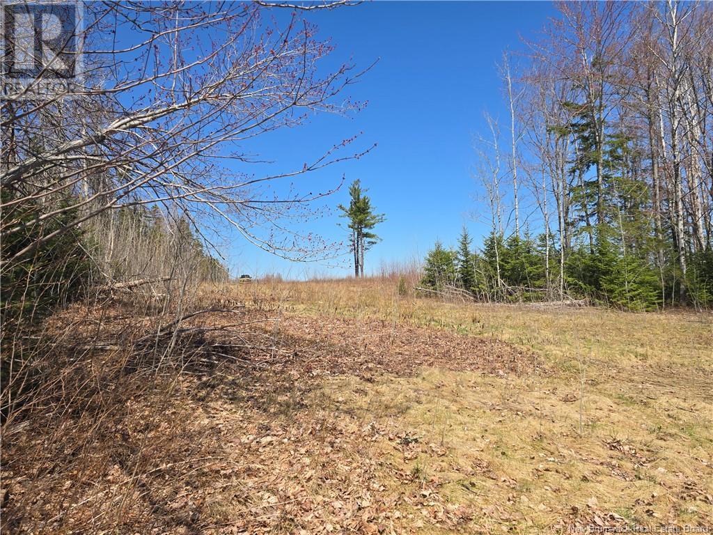 9 Acres North Black River Road Property Photo 21