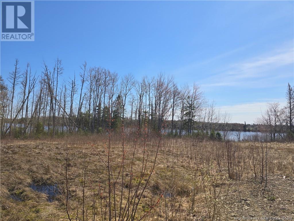 9 Acres North Black River Road Property Photo 23
