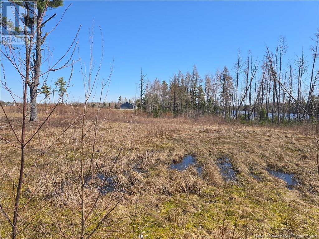 9 Acres North Black River Road Property Photo 24