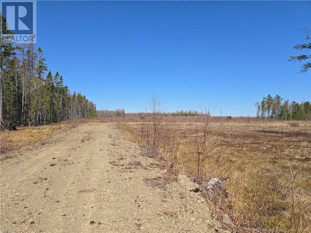 9 Acres North Black River Road Property Photo 25