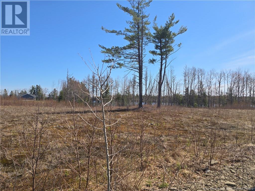9 Acres North Black River Road Property Photo 26