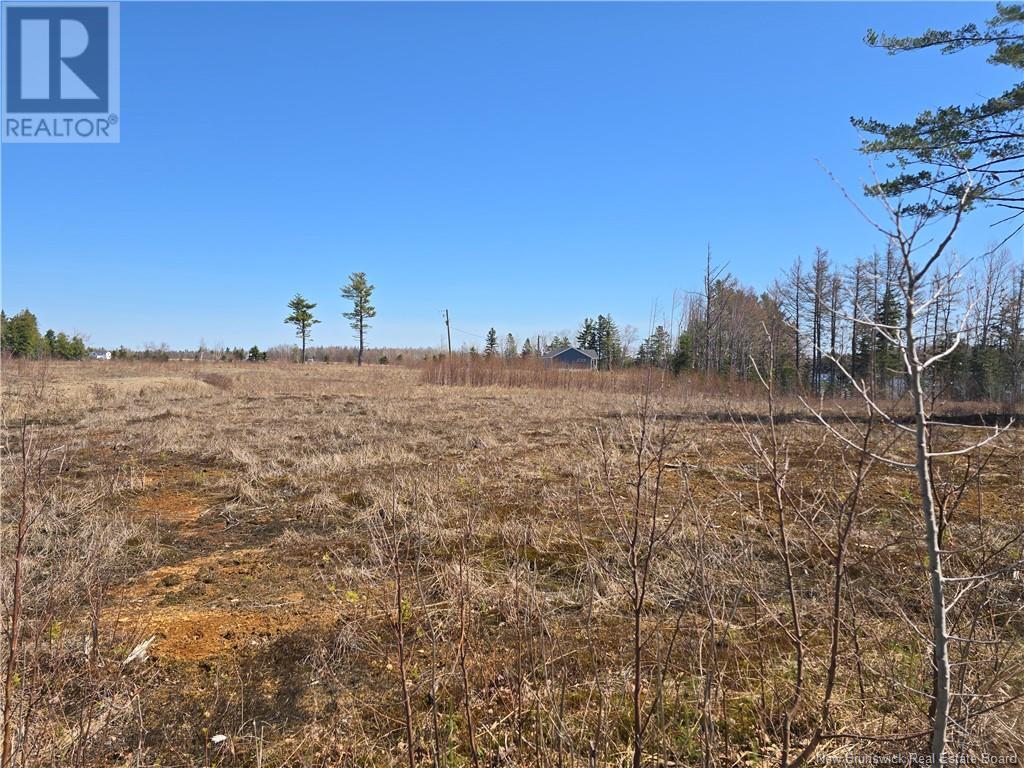 9 Acres North Black River Road Property Photo 27