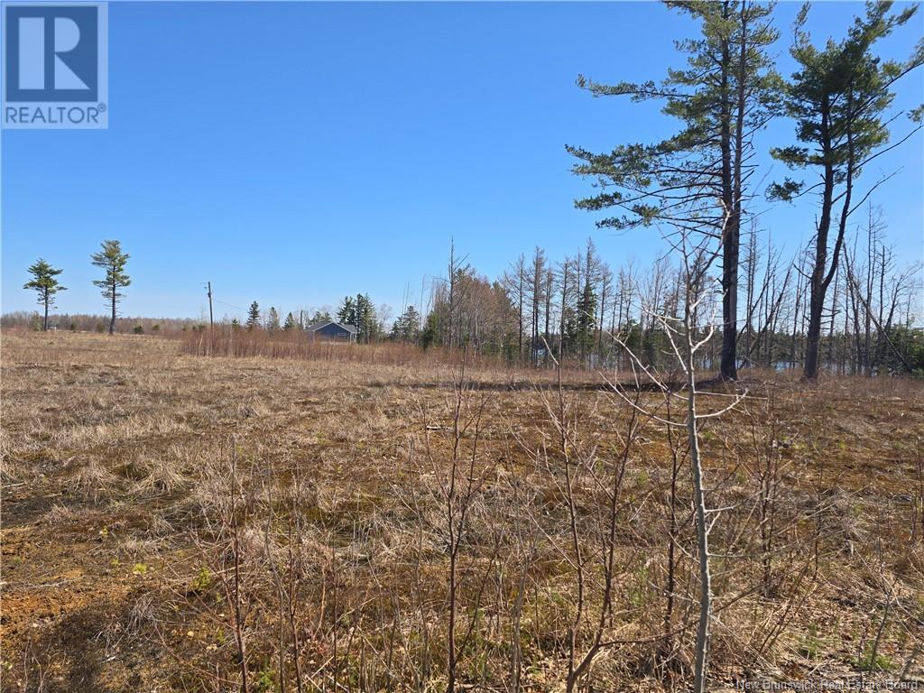 9 Acres North Black River Road Property Photo 28