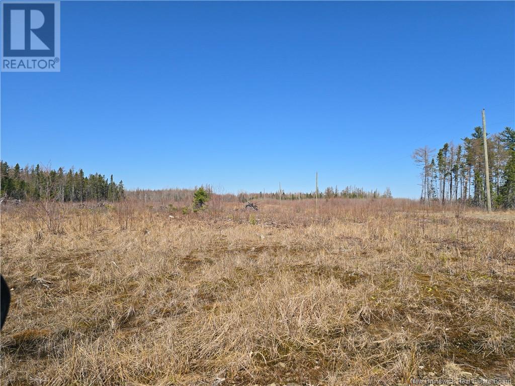 9 Acres North Black River Road Property Photo 29