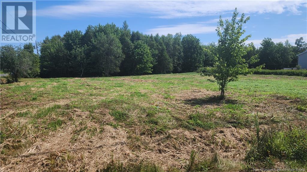 Lot 13-1.1acres Rue Jeaneau Property Photo 7