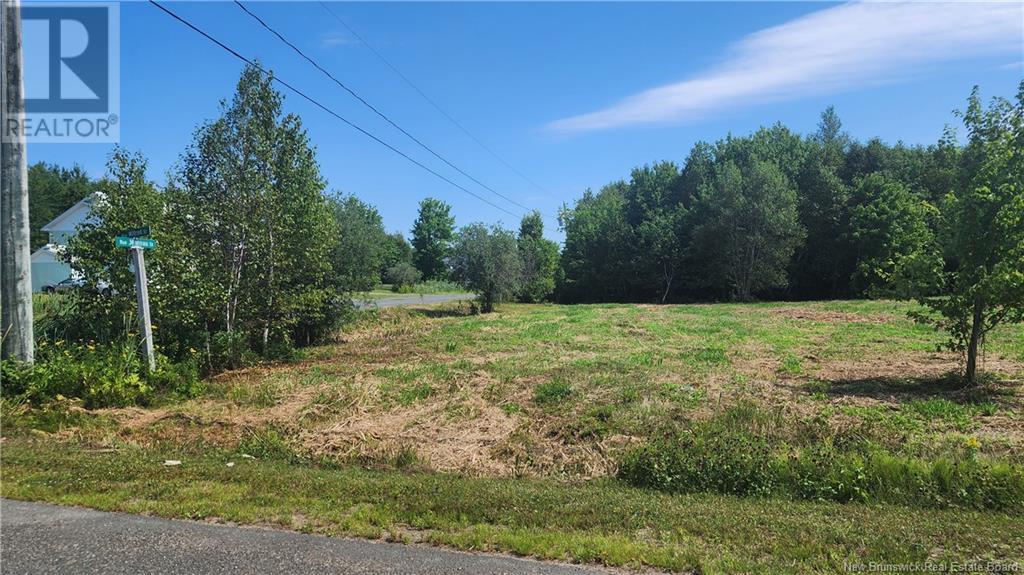 Lot15-1.1acres Rue Jeaneau Property Photo 2