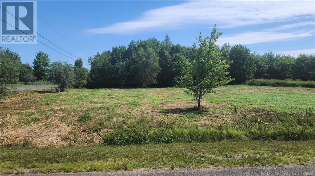 Lot15-1.1acres Rue Jeaneau Property Photo 3
