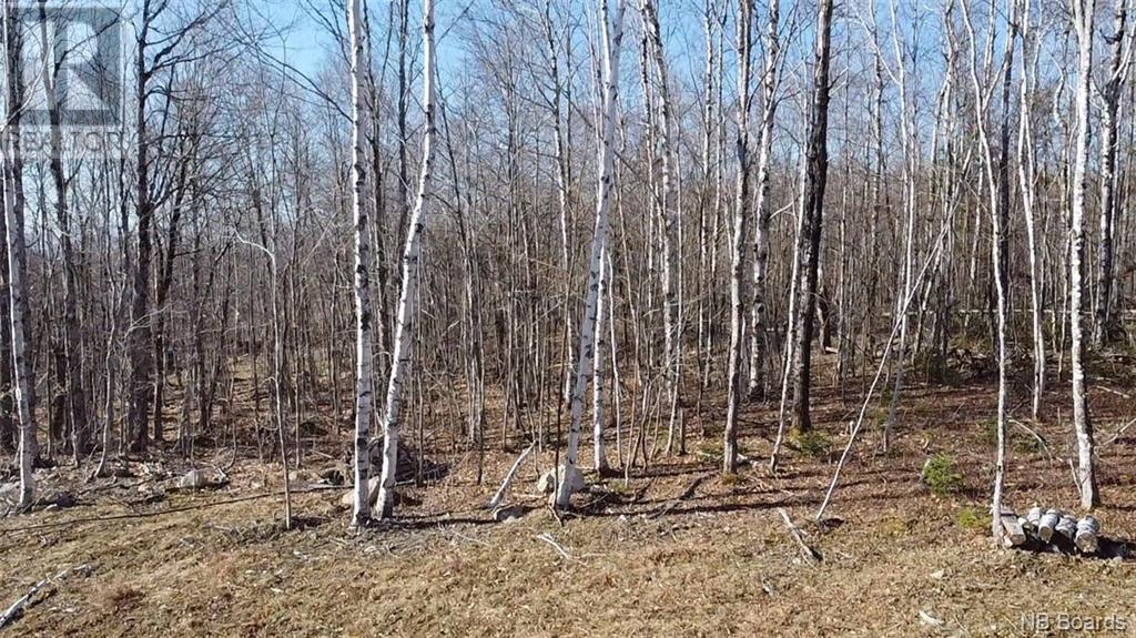 00 Ravens Ridge Road Property Photo 2