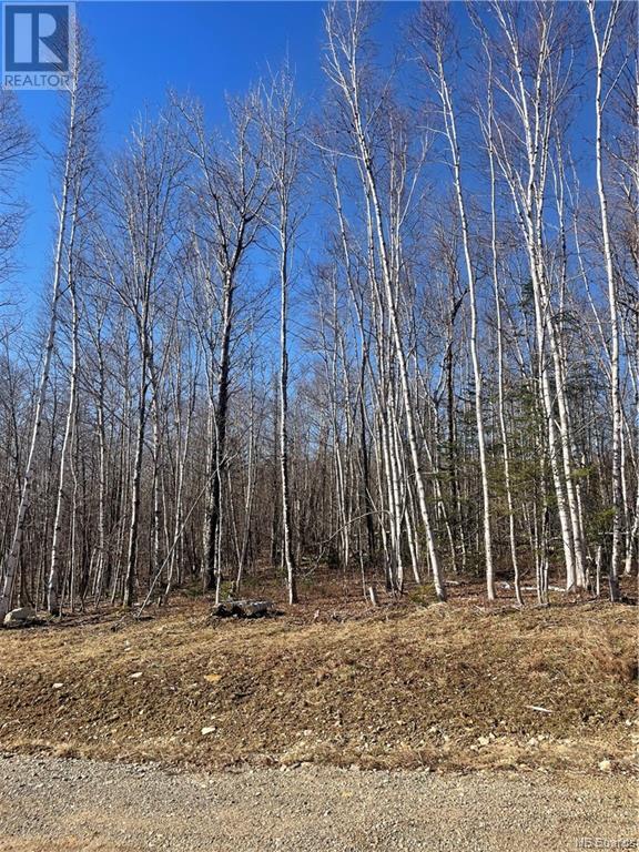 00 Ravens Ridge Road Property Photo 3