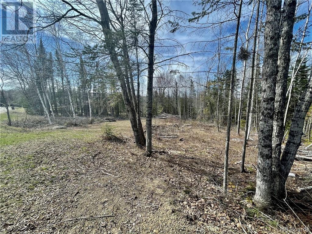 88-72 Willow Street Property Photo 2