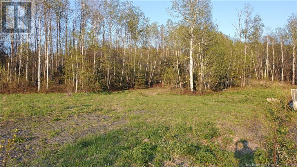 75 Breau Avenue Property Photo 3