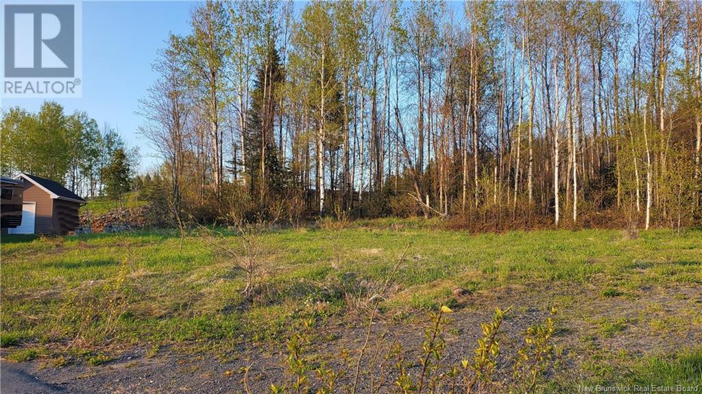 75 Breau Avenue Property Photo 4