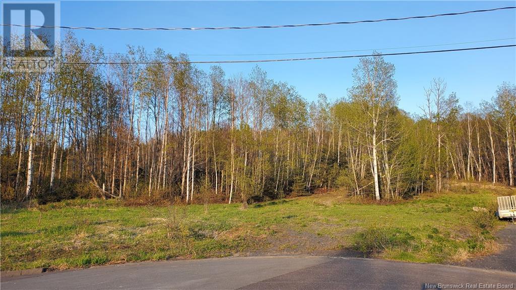 75 Breau Avenue Property Photo 5