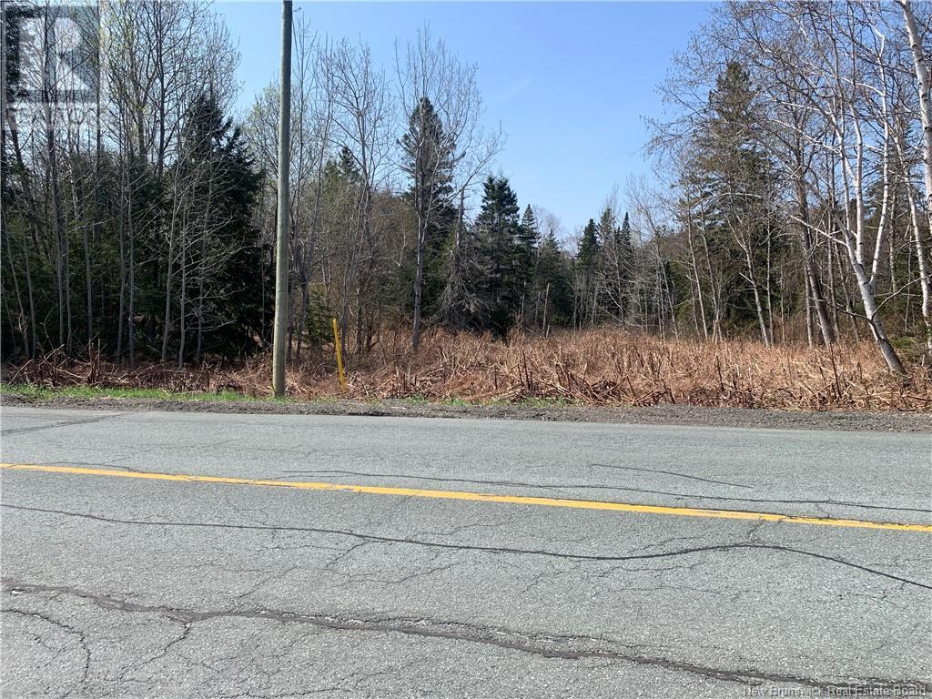 Lot Vacant Route 134 Property Photo 3