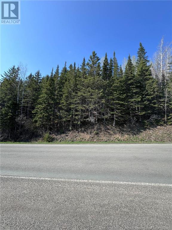 Lot 270-275 Route Property Photo 4