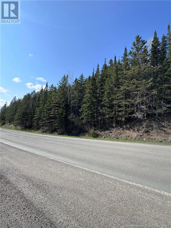 Lot 270-275 Route Property Photo 5