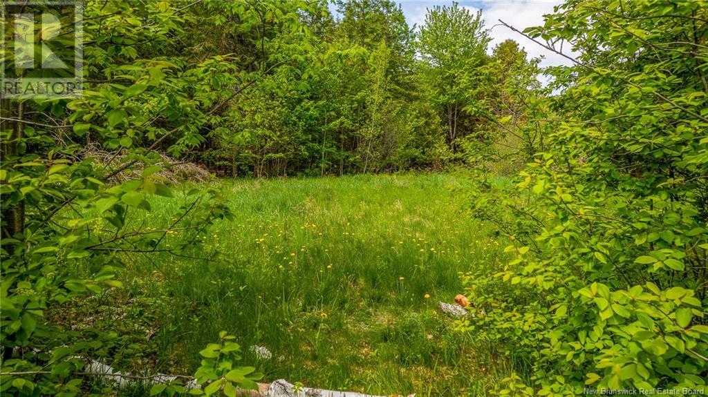 159 Pleasant Street Property Photo 4