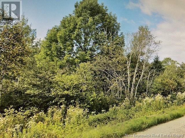 383 And 399 Damascus Road Property Photo 1