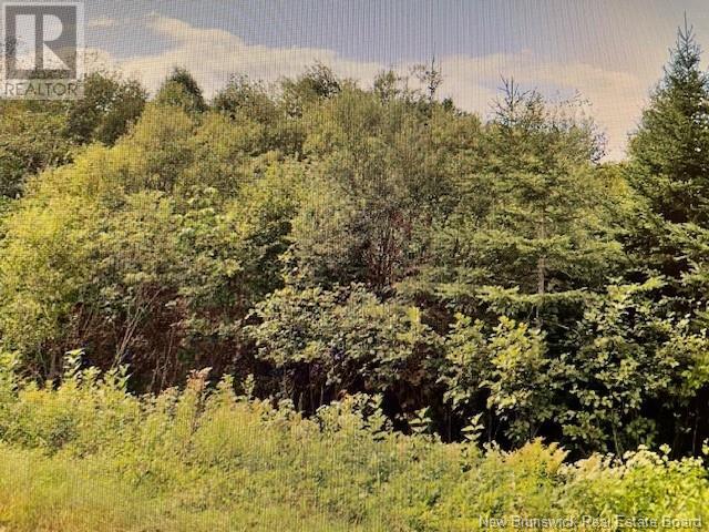 383 And 399 Damascus Road Property Photo 3