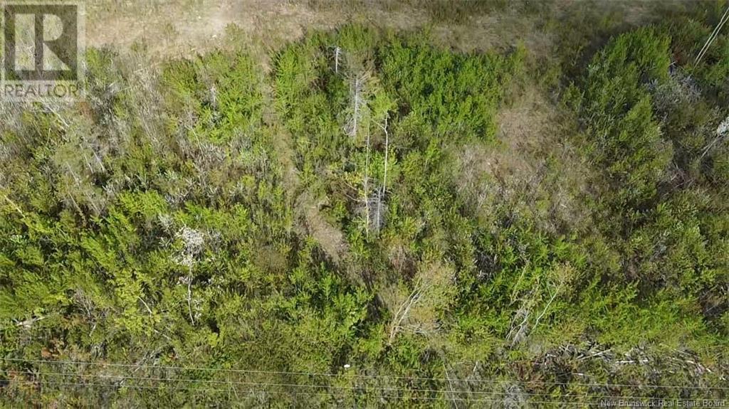 Lot 9 Tobin Road Property Photo 1