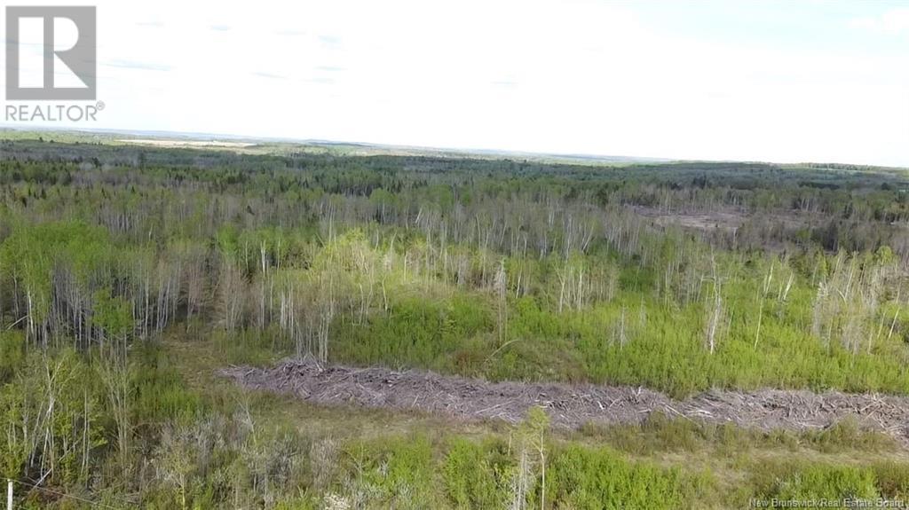 Lot 9 Tobin Road Property Photo 3