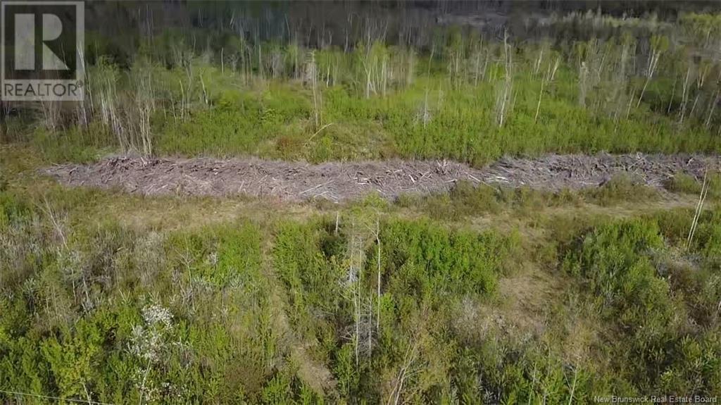 Lot 9 Tobin Road Property Photo 5