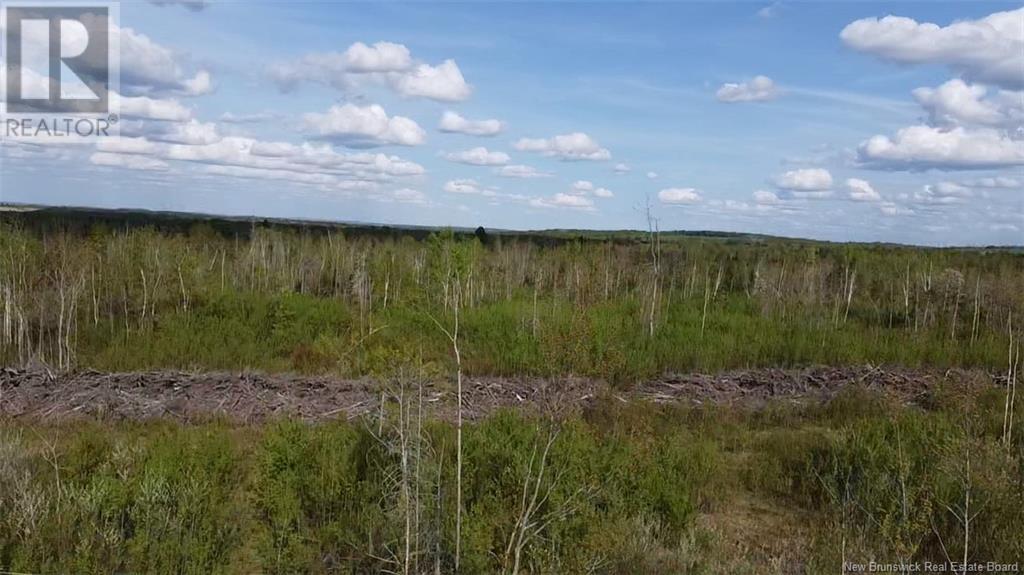 Lot 9 Tobin Road Property Photo 6