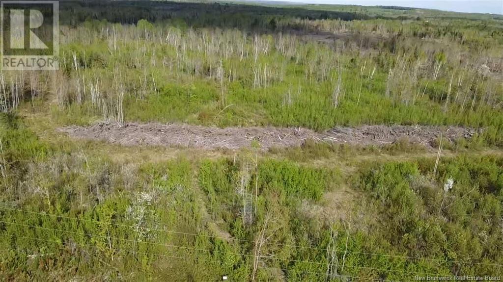 Lot 9 Tobin Road Property Photo 8