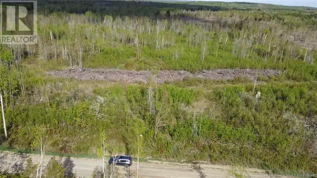 Lot 9 Tobin Road Property Photo 9