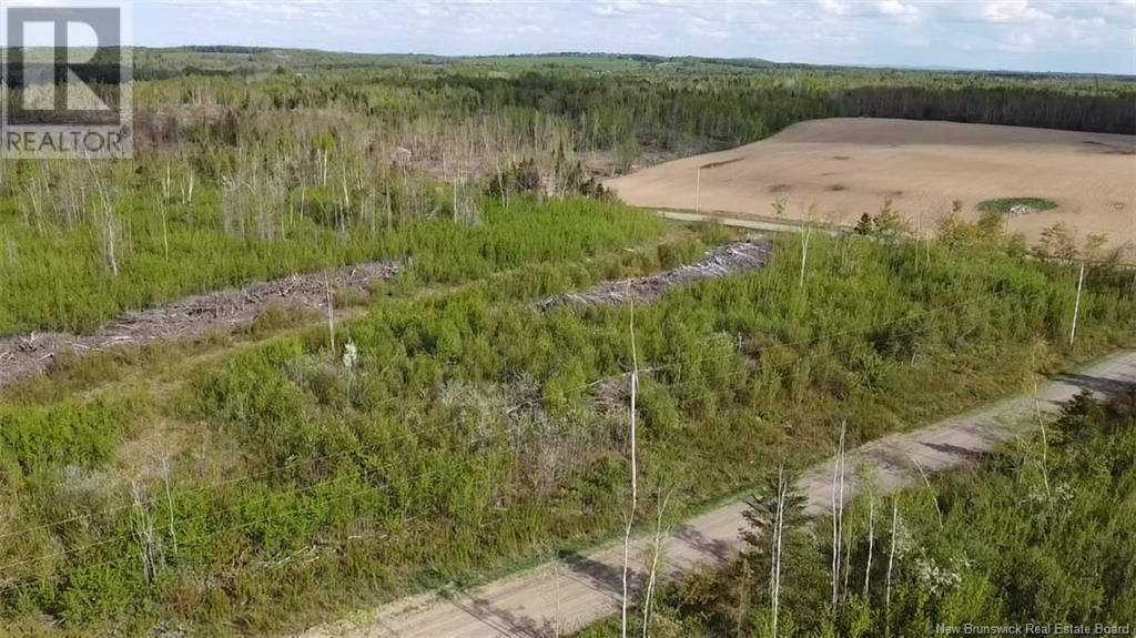 Lot 9 Tobin Road Property Photo 11