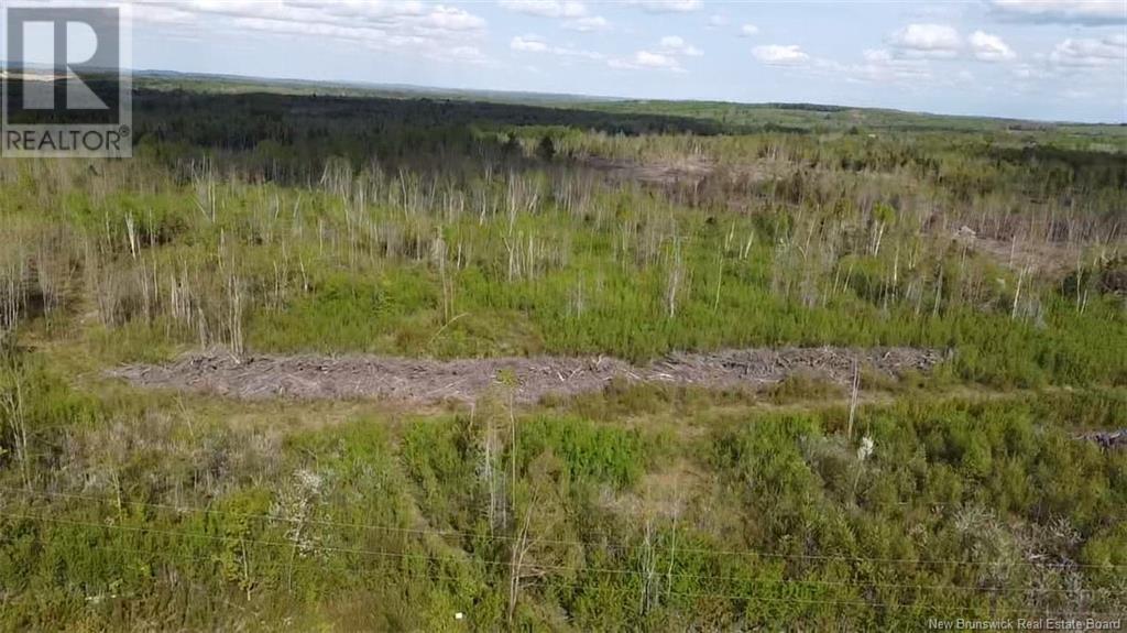 Lot 9 Tobin Road Property Photo 12