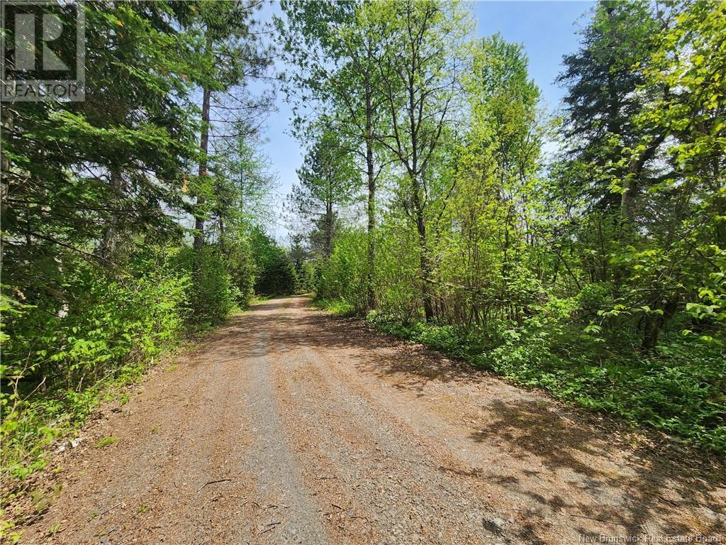 Deschenes Road Property Photo 19