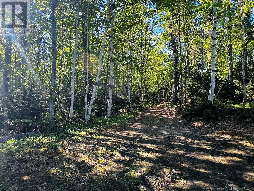 Rio Grande Property Photo 3