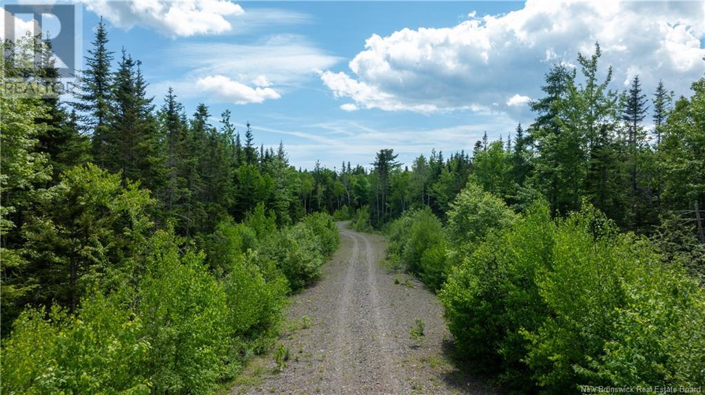 Lot 2011-1 Campbell Road Property Photo 3